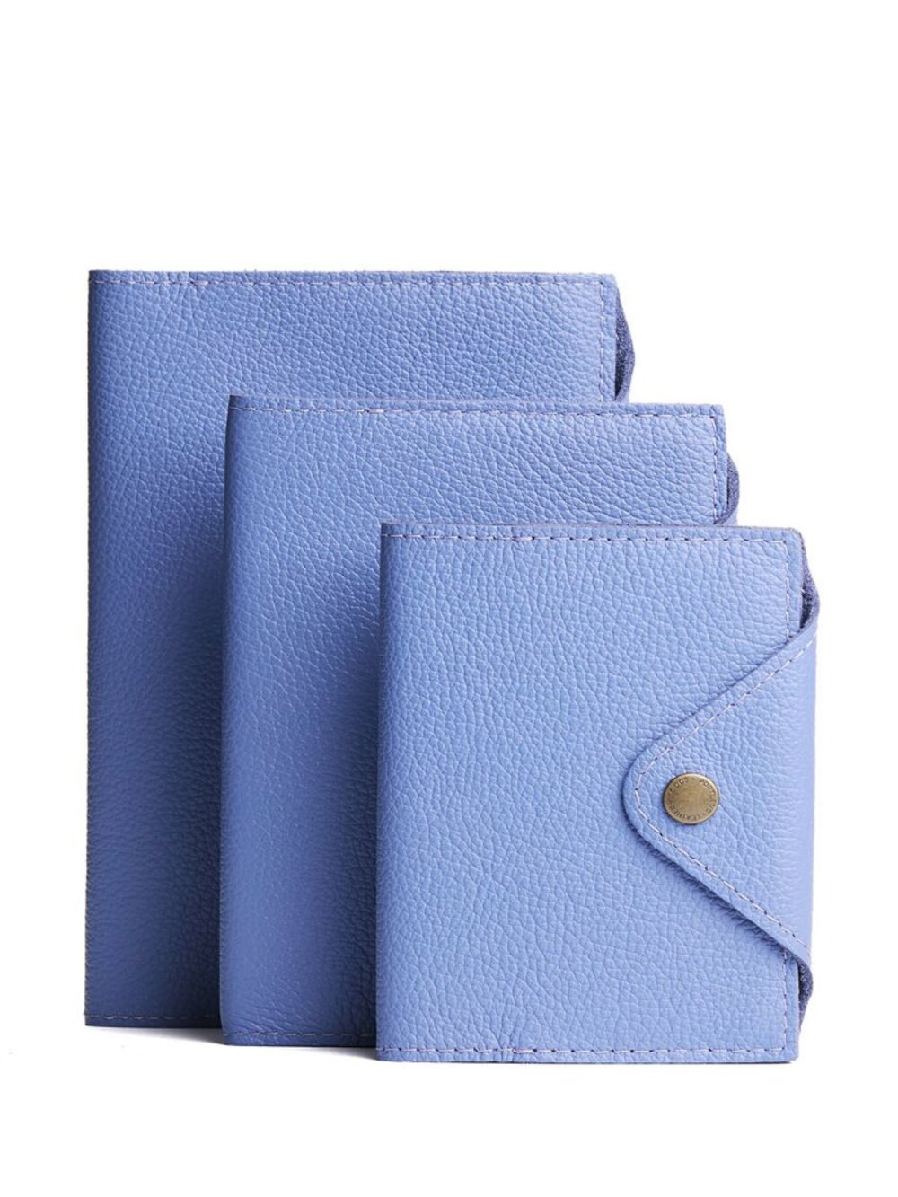 PLG Leather Snap Journal in Aster